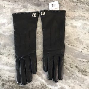Coach gloves
